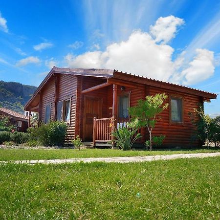 Hayitbuku Ahsapevleri Guest House Mesudiye  ห้อง รูปภาพ