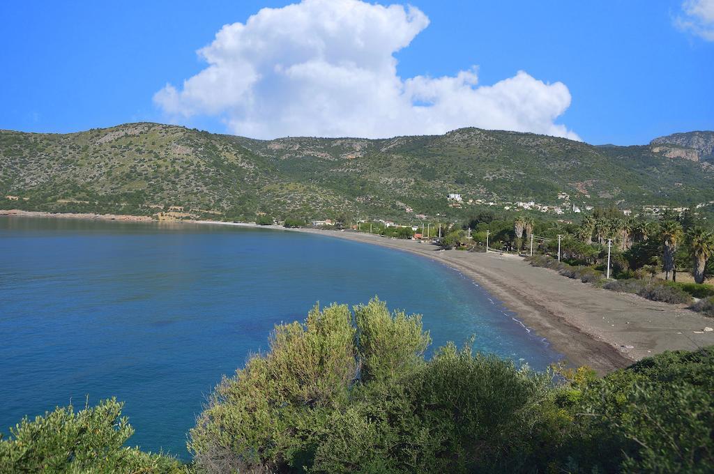Hayitbuku Ahsapevleri Guest House Mesudiye  ภายนอก รูปภาพ
