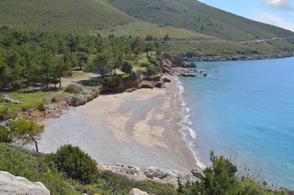 Hayitbuku Ahsapevleri Guest House Mesudiye  ภายนอก รูปภาพ