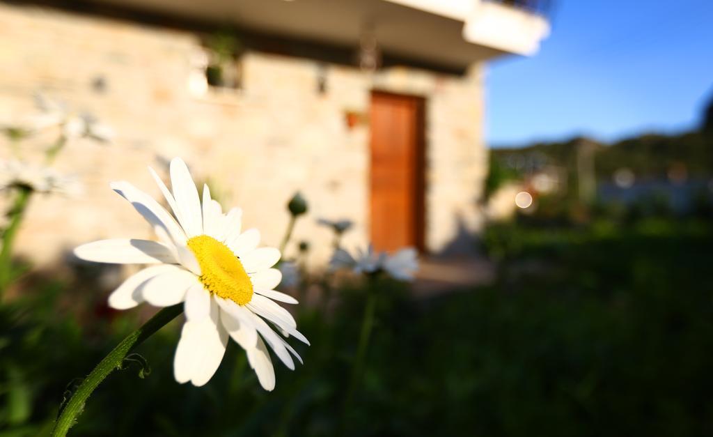 Hayitbuku Ahsapevleri Guest House Mesudiye  ภายนอก รูปภาพ