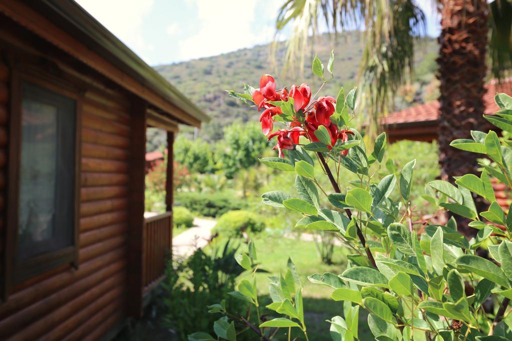 Hayitbuku Ahsapevleri Guest House Mesudiye  ภายนอก รูปภาพ