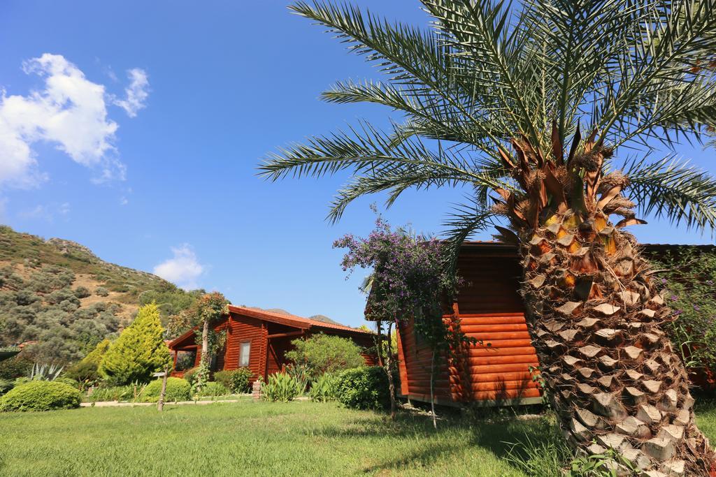 Hayitbuku Ahsapevleri Guest House Mesudiye  ภายนอก รูปภาพ