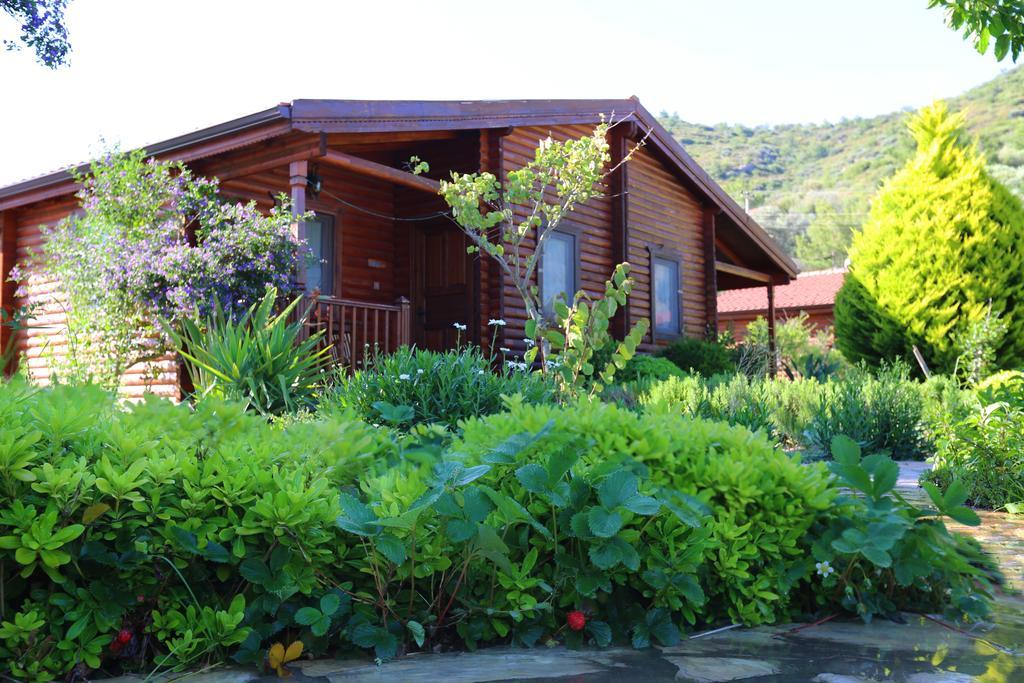 Hayitbuku Ahsapevleri Guest House Mesudiye  ภายนอก รูปภาพ