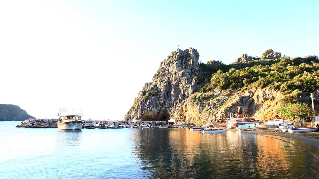 Hayitbuku Ahsapevleri Guest House Mesudiye  ภายนอก รูปภาพ