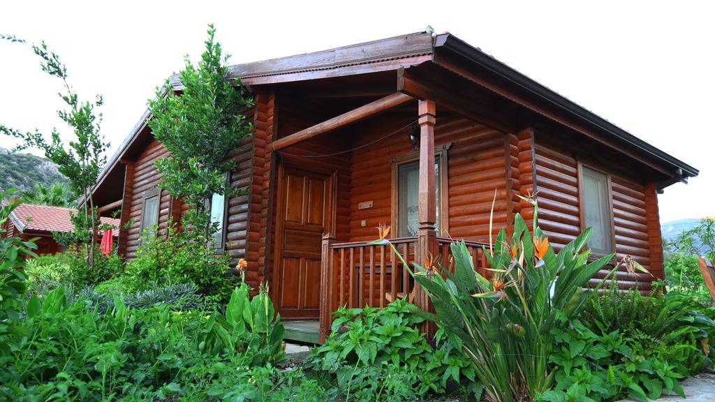 Hayitbuku Ahsapevleri Guest House Mesudiye  ภายนอก รูปภาพ