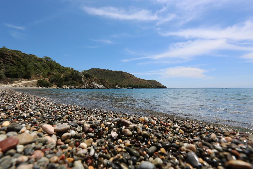 Hayitbuku Ahsapevleri Guest House Mesudiye  ภายนอก รูปภาพ