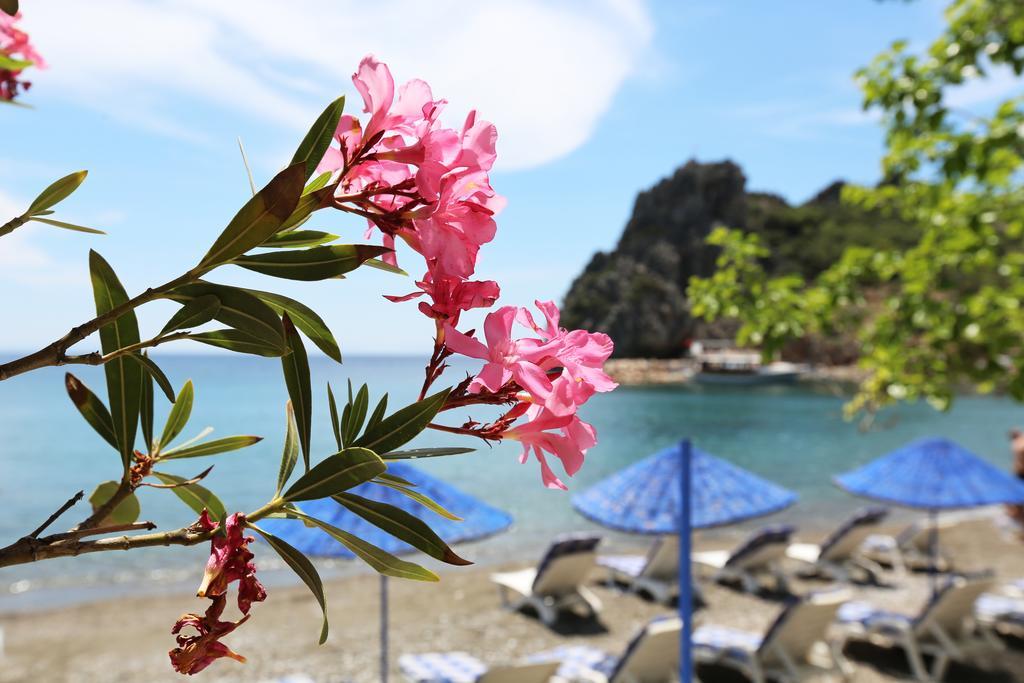 Hayitbuku Ahsapevleri Guest House Mesudiye  ภายนอก รูปภาพ