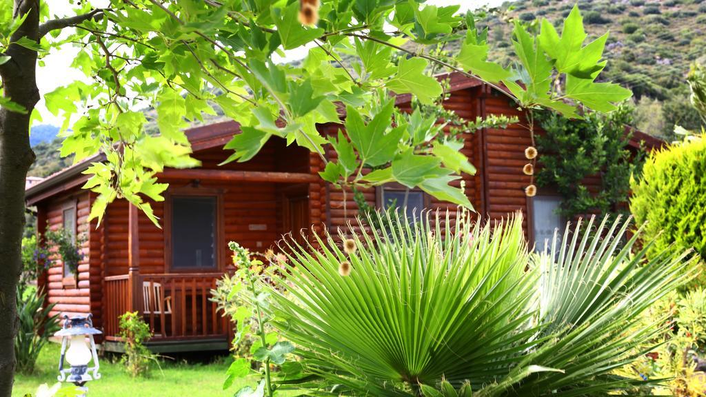 Hayitbuku Ahsapevleri Guest House Mesudiye  ภายนอก รูปภาพ
